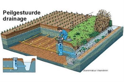 Presentaties studiedag 'Opportuniteiten voor peilgestuurde drainage'