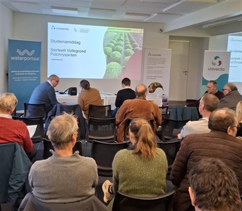 Presentaties studiedag Potchrysanten