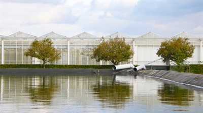 Slimme combinatie van teeltkeuze en technologie voor een rendabele klimaatrobuuste land- en tuinbouw