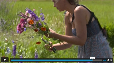 Filmpje Onderzoek voor biobloementeelt - Plattelandspret