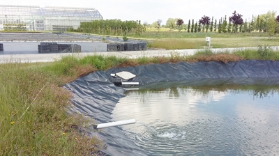 Artikels NuReDrain: verwijdering van nutriënten uit drainwater