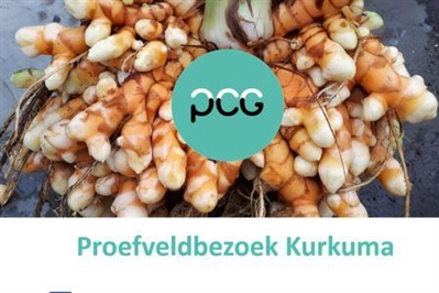 Presentaties proefveldbezoek kurkuma november 2022