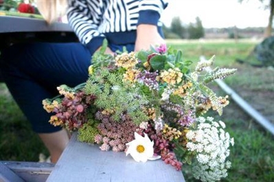 Resultaten enquête “Geef ons jouw mening over biologische bloemen”