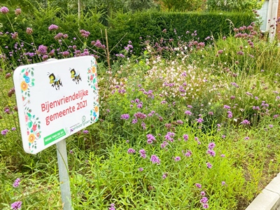 Vormingsmoment groenvoorziening: biodivers groen - Oudenaarde