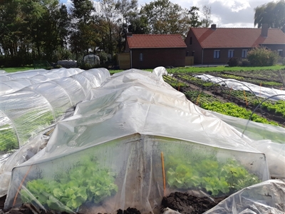 Project “Zorgen minitunnels voor een maxi rendement?” van start