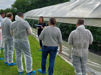 Terugblik proefveldbezoek bio groenten onder bescherming