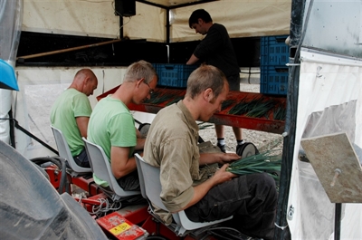 Ergonomie in de tuinbouw