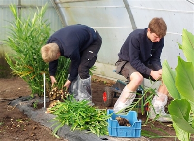 Bezoekersgids proefveldbezoek bio groenten onder bescherming 2024