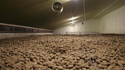 Uitzonderlijke jaren volgen elkaar op, maar zijn altijd anders