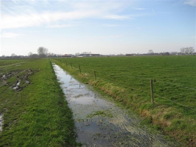 Verbeterde waterkwaliteit in het brongebied van de Vlaamse Ardennen