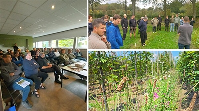 Presentaties studiedag bloemenmengsels en biodiversiteit in de boomkwekerij