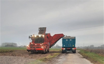 Oogst schiet op, ondanks de regen