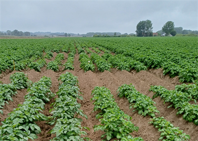 Nieuwe late frietrassen in proef