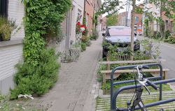 Workshop 'Tuinstraat op maat van jouw stad of gemeente' - Leuven