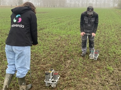 Proefresultaten gefractioneerd bemesten in aardappelen (2024)