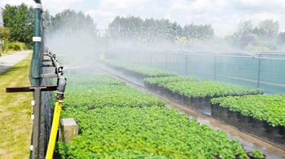 Kennisuitwisseling rond het gebruik van biostimulanten