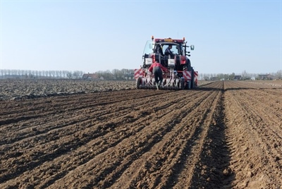 Eerste zonnestralen zetten uientelers aan het werk