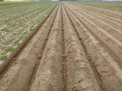 Landbouw investeert in landschap en klimaat