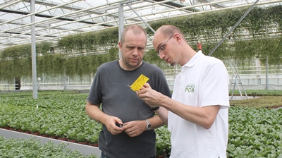 Monitorings in de glastuinbouw: hét basisinstrument voor efficiënte geïntegreerde bestrijding