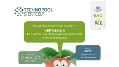 Presentaties Workshop Plantenfysiologie - vertakking