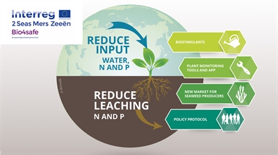 Presentaties Bio4safe-slotwebinar 'Biostimulanten en sensoren voor duurzame gewasproductie'