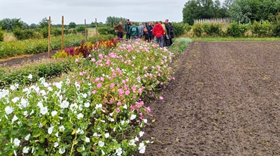 Presentaties Proefveldbezoek Biobloemen