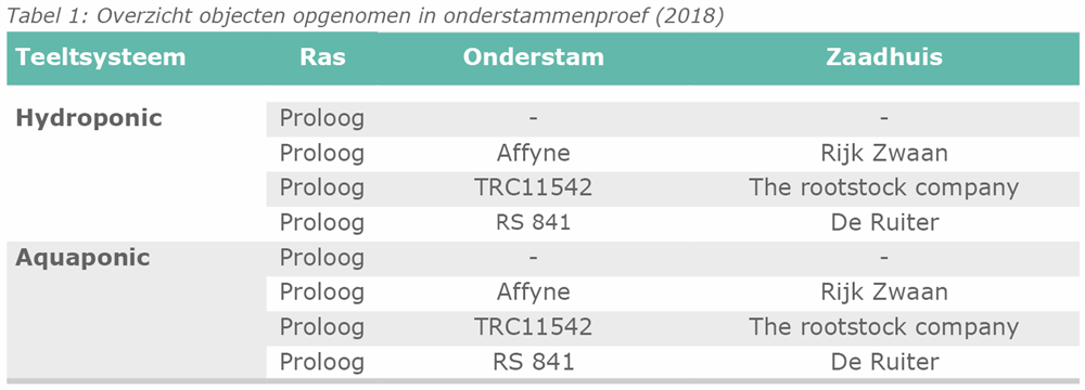 Tabel 1: Overzicht objecten opgenomen in onderstammenproef (2018)