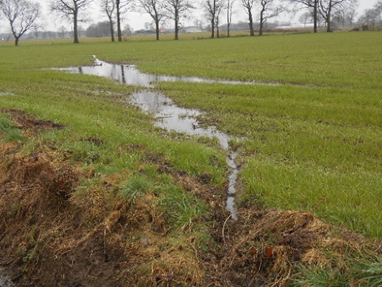 Foto1: Afwateringsgeul van pas bemest grasland