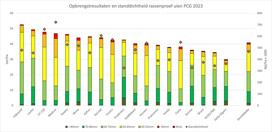 Opbrengstresultaten en standdichtheid rassenonderzoek uien PCG 2023